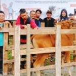 Cegah PMK, Poskeswan dan Pemdes Tirta Kencana Vaksinasi Ternak Sapi