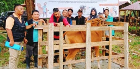 Cegah PMK, Poskeswan dan Pemdes Tirta Kencana Vaksinasi Ternak Sapi