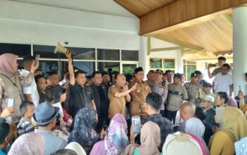 IMG20250616124450